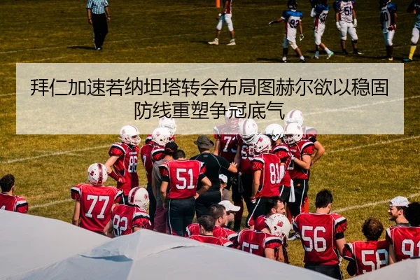 img_1783862510594_887_1_955.jpg